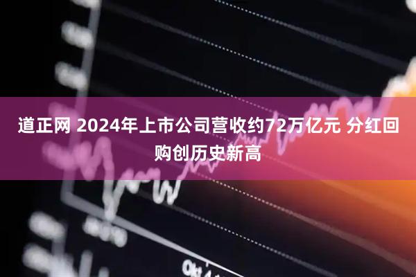 道正网 2024年上市公司营收约72万亿元 分红回购创历史新高