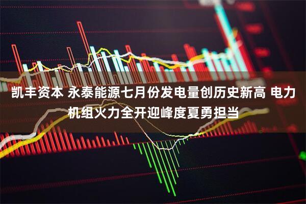 凯丰资本 永泰能源七月份发电量创历史新高 电力机组火力全开迎峰度夏勇担当