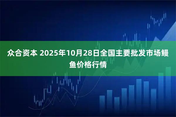 众合资本 2025年10月28日全国主要批发市场鳗鱼价格行情
