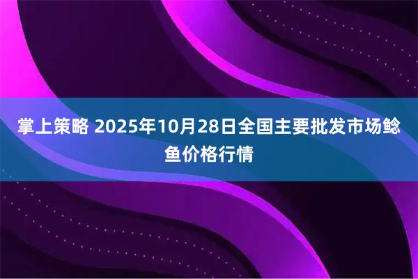 掌上策略 2025年10月28日全国主要批发市场鲶鱼价格行情