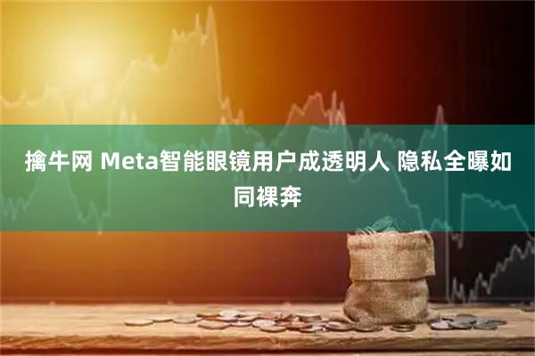 擒牛网 Meta智能眼镜用户成透明人 隐私全曝如同裸奔